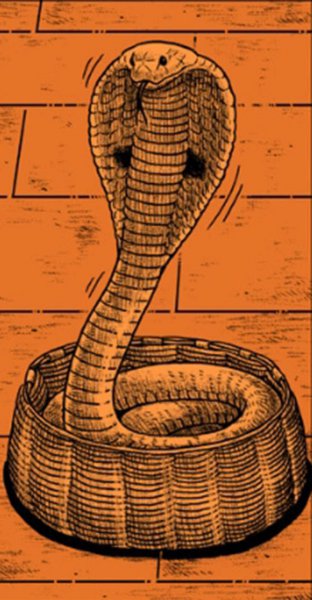 世界上最大的毒蛇是什么