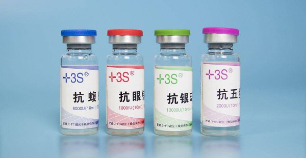 世界上最大的毒蛇是什么