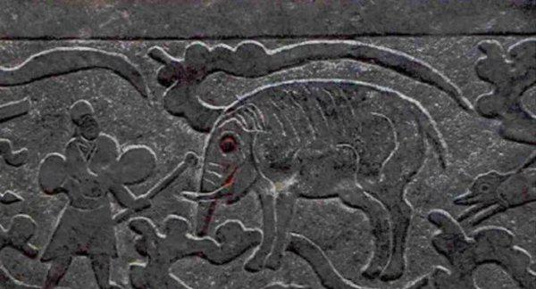 大象象征什么寓意