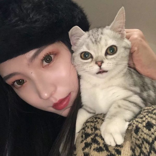 女人养猫的深层意义是什么