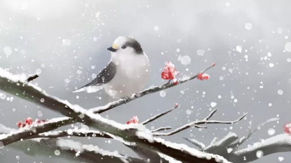 关于冬至的来源和故事