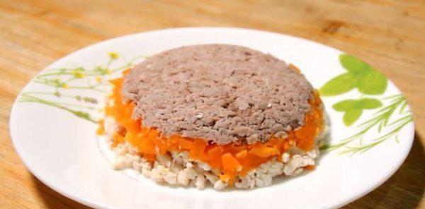 猫饭可以代替猫粮吗