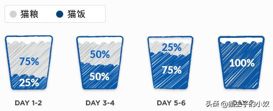 猫饭可以代替猫粮吗