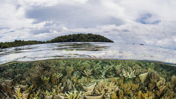 南美洲气候特征以什么为主