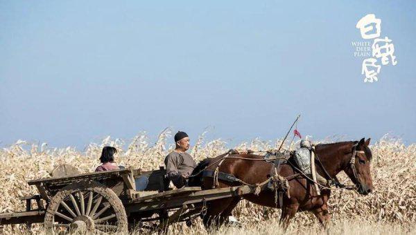 白鹿原在西安什么位置