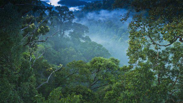 文莱为什么那么富有