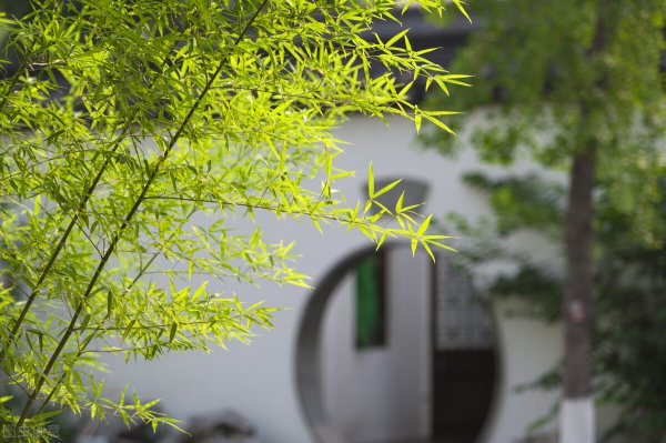 岁寒三友象征意义是什么