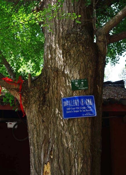 石经寺求什么最灵验