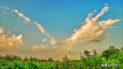 骑鹅旅行记是谁写的 尼尔斯骑鹅旅行记怎么写出来的内容