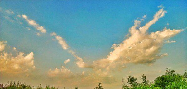 骑鹅旅行记是谁写的