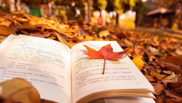 骑鹅旅行记是谁写的