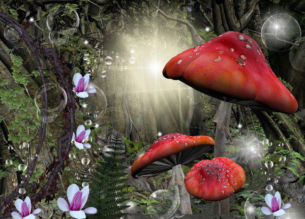 骑鹅旅行记是谁写的