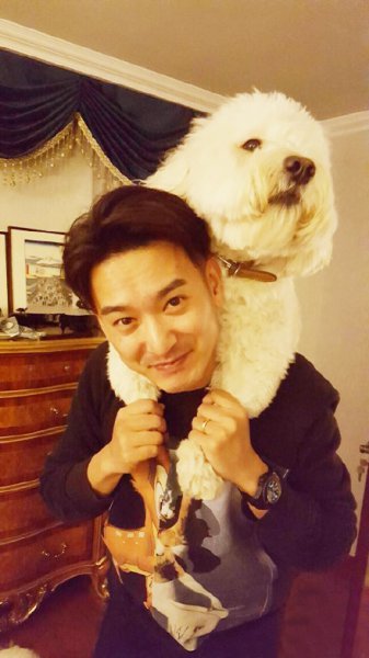 袁文康演过的电视剧