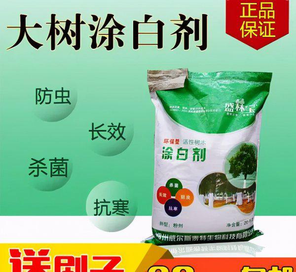 树为什么要刷白漆