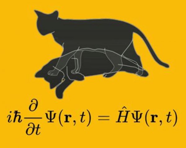 平行时空真的存在吗