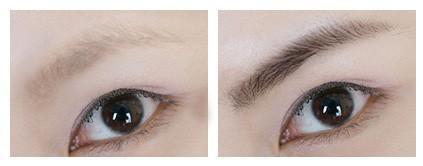 长寿眉预示什么象征