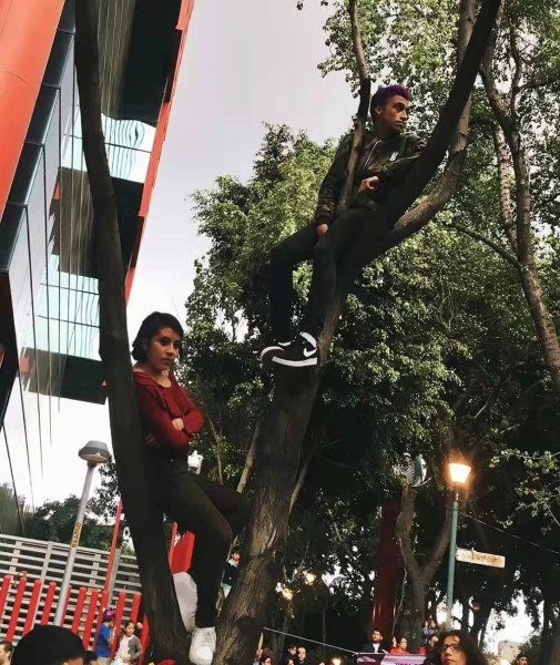 墨西哥人是什么人种类