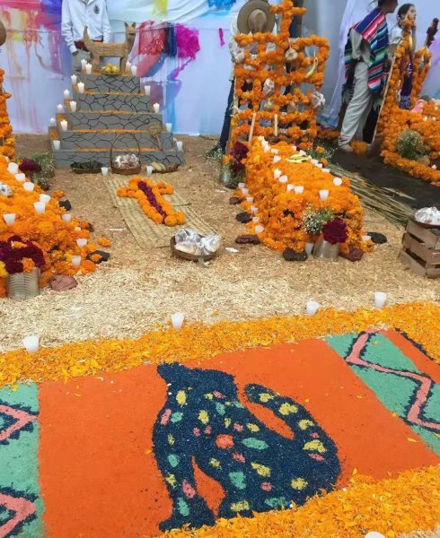 墨西哥人是什么人种类