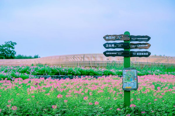 江苏宿迁很穷吗