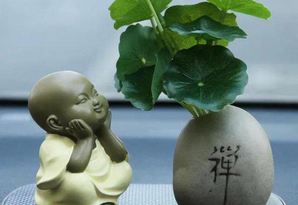 出道弟子怎样知道窍都打通了