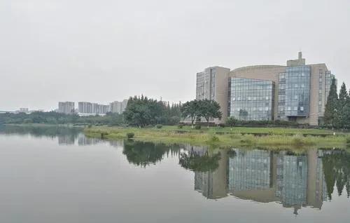 四川大学是几本院校