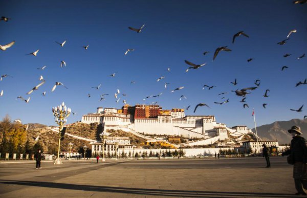 正常人拉萨高原反应严重吗