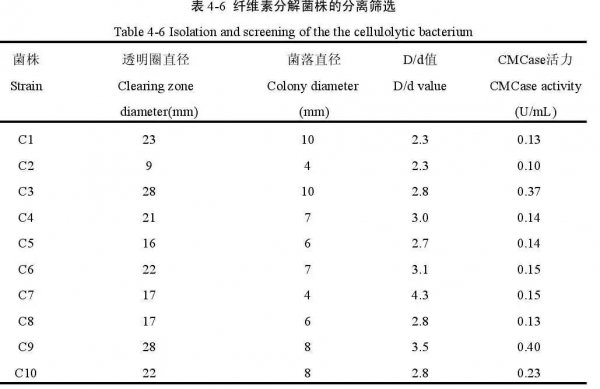猪是杂食动物吗