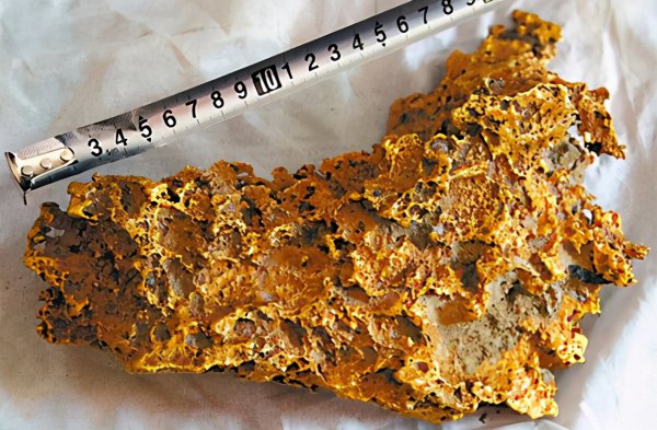 狗头金什么意思