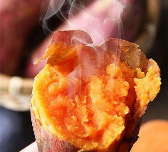 六鳌红蜜薯产地在哪里 网红地瓜红蜜薯产自哪个地方