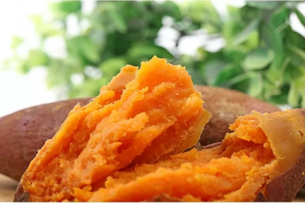 六鳌红蜜薯产地在哪里