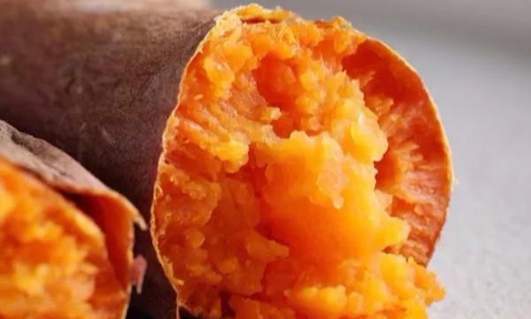 六鳌红蜜薯产地在哪里