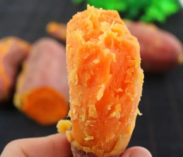 六鳌红蜜薯产地在哪里