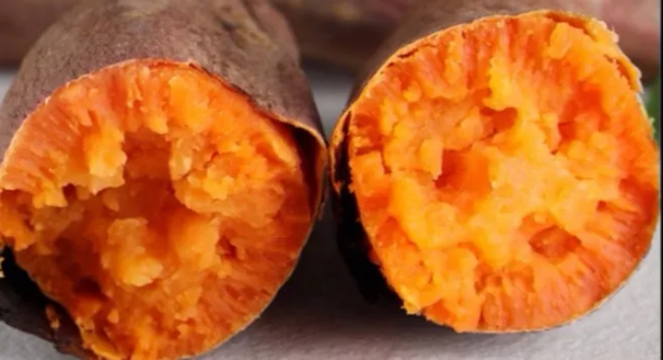 六鳌红蜜薯产地在哪里