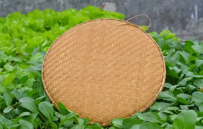 簸箕是什么东西长什么样 簸箕有一共有几种含义说法