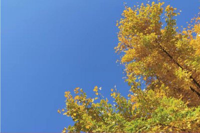 个人原因辞职理由妥当一些 说自己不适合这个岗位可以