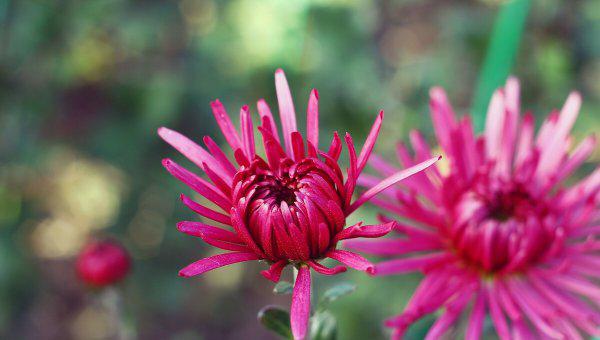 怎样吊着让他更想你