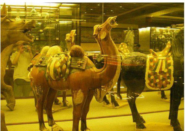 赵泰来捐的国宝是真的吗