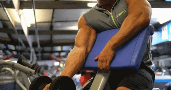 手臂二头肌是什么部位