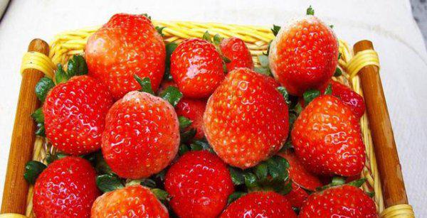 龙口市属于哪个市