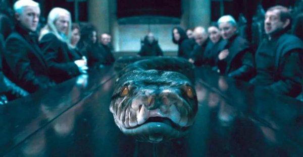 纳吉尼为什么跟了伏地魔