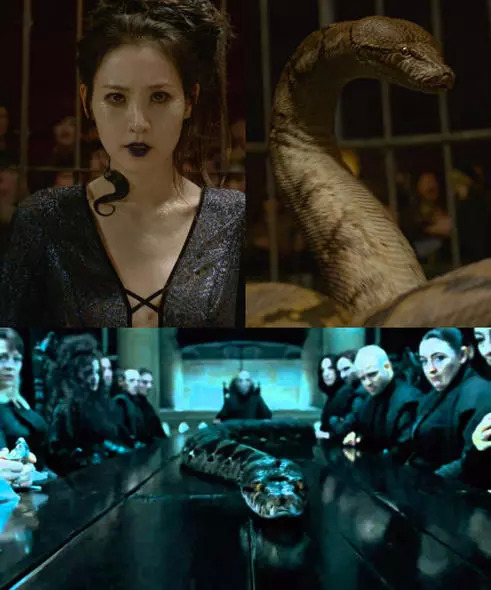 纳吉尼为什么跟了伏地魔