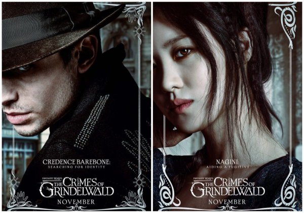 纳吉尼为什么跟了伏地魔