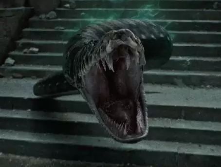 纳吉尼为什么跟了伏地魔