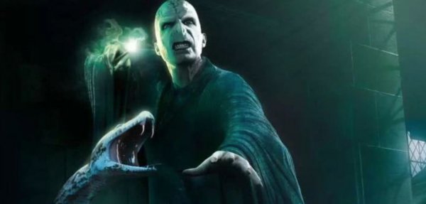 纳吉尼为什么跟了伏地魔