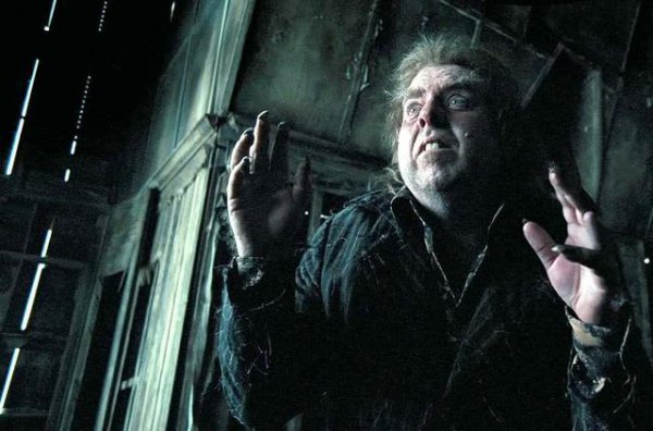 纳吉尼为什么跟了伏地魔