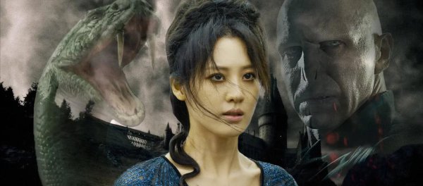 纳吉尼为什么跟了伏地魔