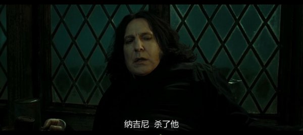 纳吉尼为什么跟了伏地魔