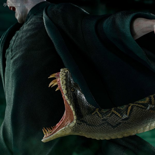 纳吉尼为什么跟了伏地魔