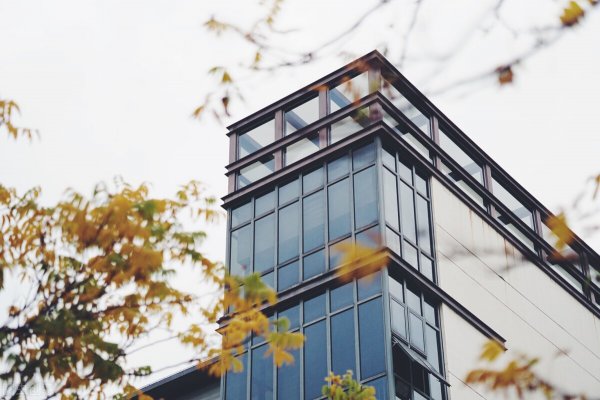 学文科有什么专业可选