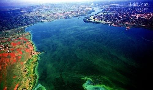 世界上最长的江河是哪一条